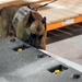 K-9 teams enjoy scent of training