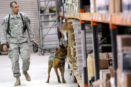 K-9 teams enjoy scent of training