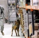 K-9 teams enjoy scent of training