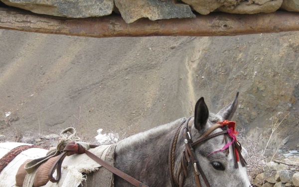 Paryan Mothers Giving Birth Under Improved Conditions