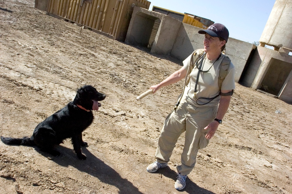 Cadaver dog training