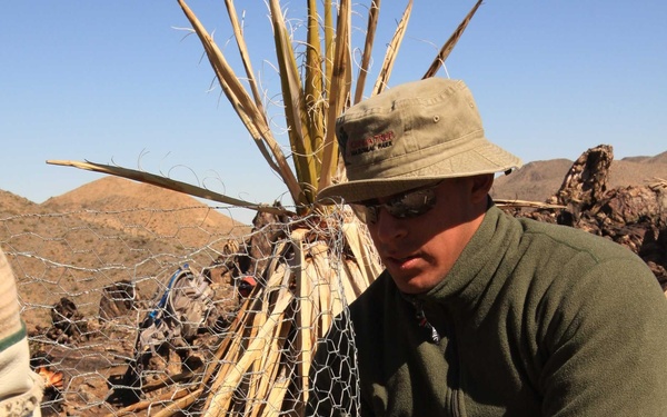 Marines, Sailors plant new beginning for national park