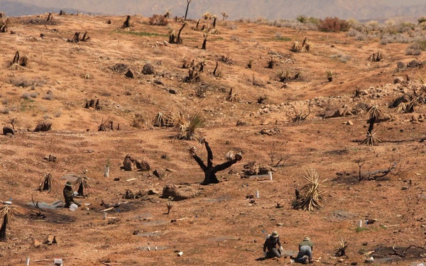 Marines, Sailors plant new beginning for national park