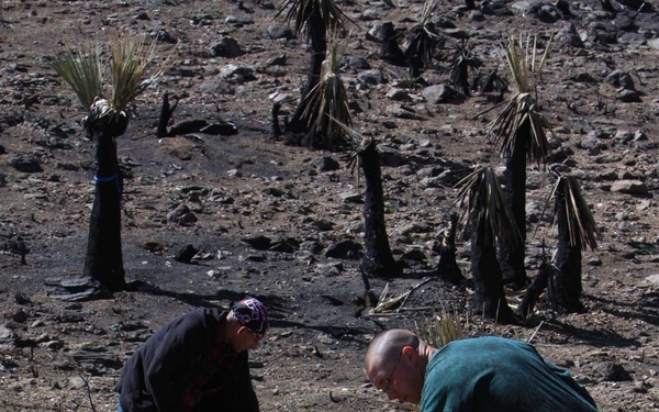 Marines, Sailors plant new beginning for national park