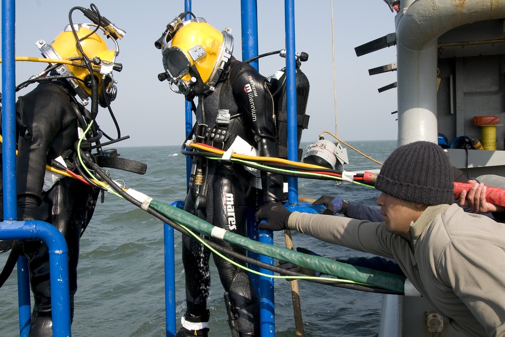 Joint dive training exercise