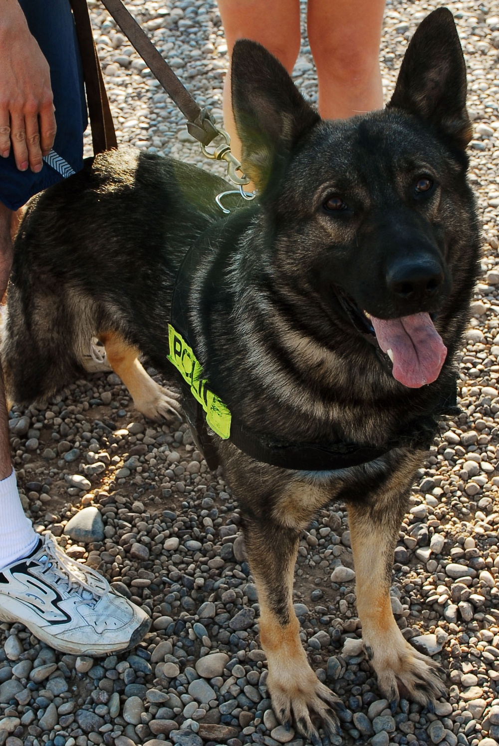 MWD Appreciation 5K Fun Run and Walk