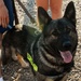 MWD Appreciation 5K Fun Run and Walk