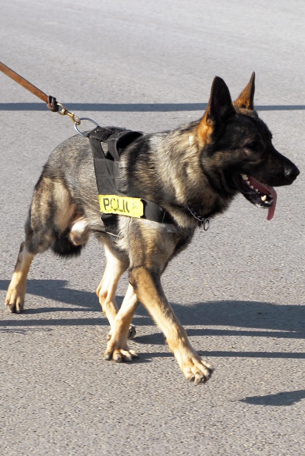 MWD Appreciation 5K Fun Run and Walk