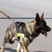 MWD Appreciation 5K Fun Run and Walk