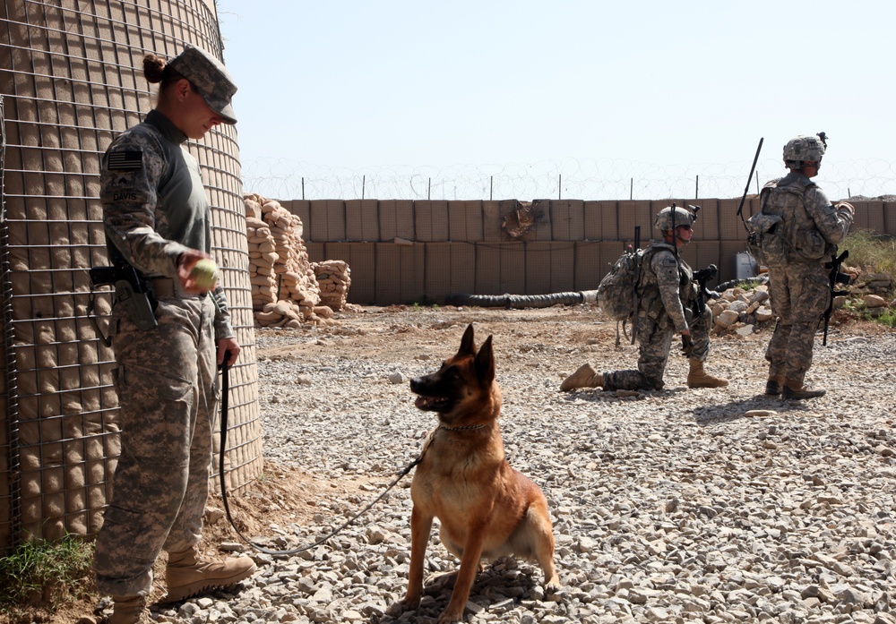 Khowst Province Activity