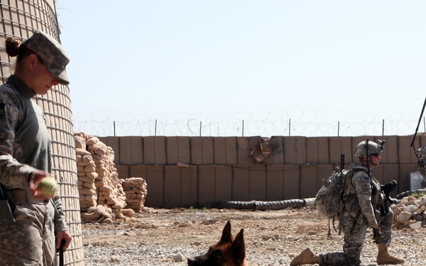 Khowst Province Activity