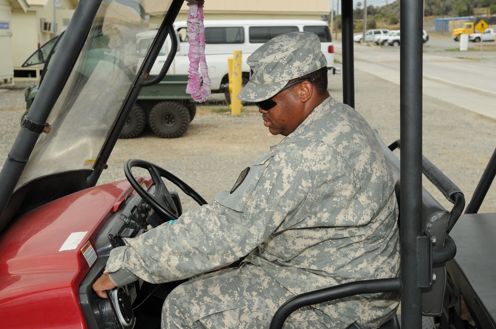 Musical Gator Rocks GTMO