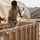 Combat engineers build anything and everything