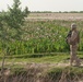 U.S. troops patrol Helmand province