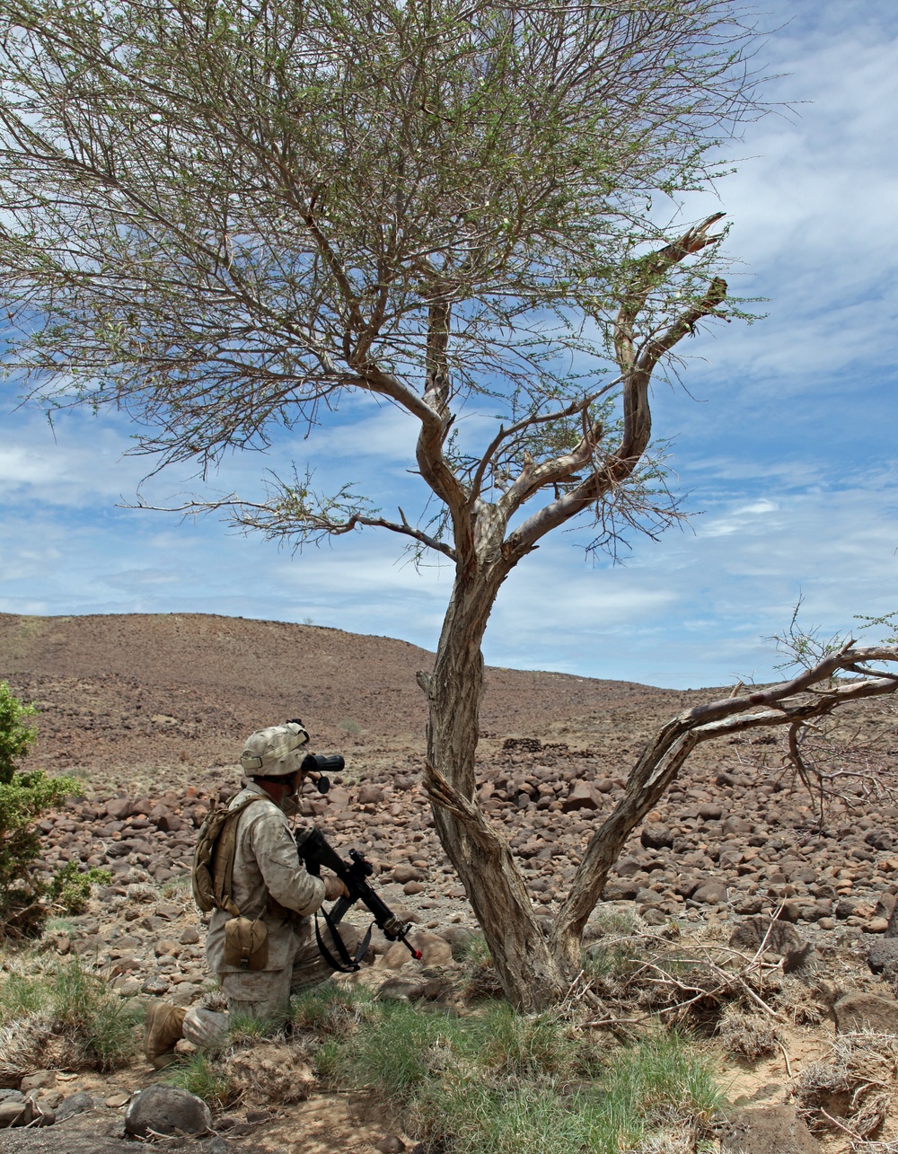 French Foreign Legion bilateral training exercise