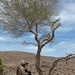 French Foreign Legion bilateral training exercise