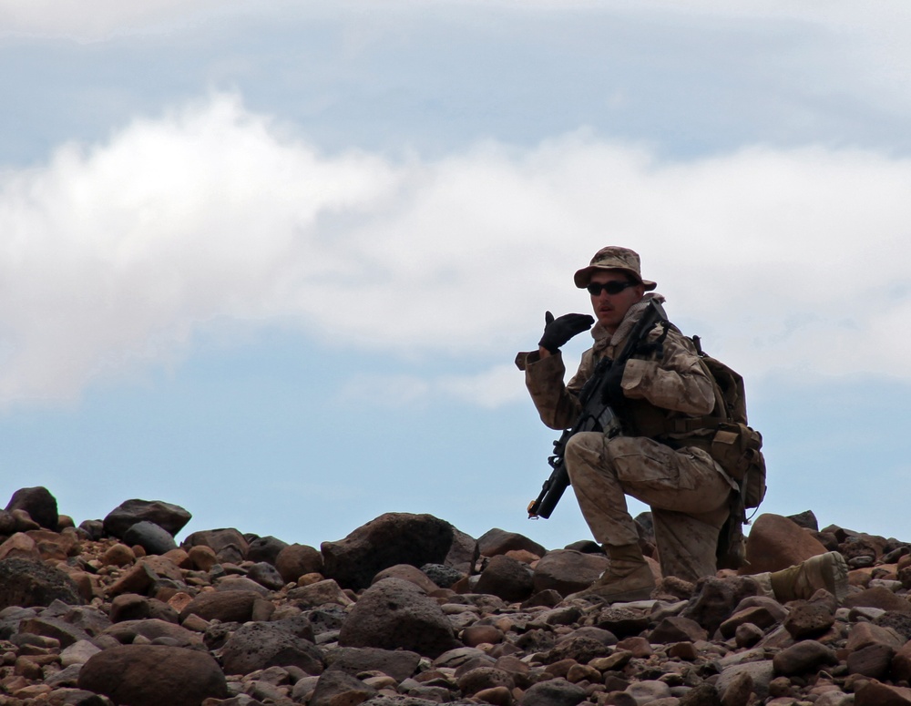 French Foreign Legion bilateral training exercise