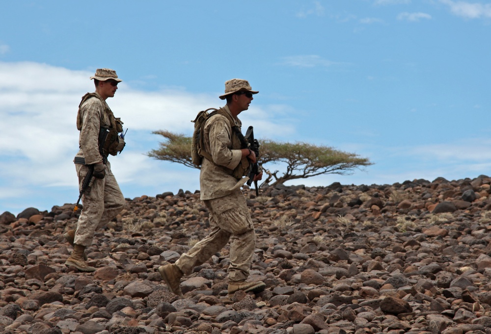 French Foreign Legion bilateral training exercise