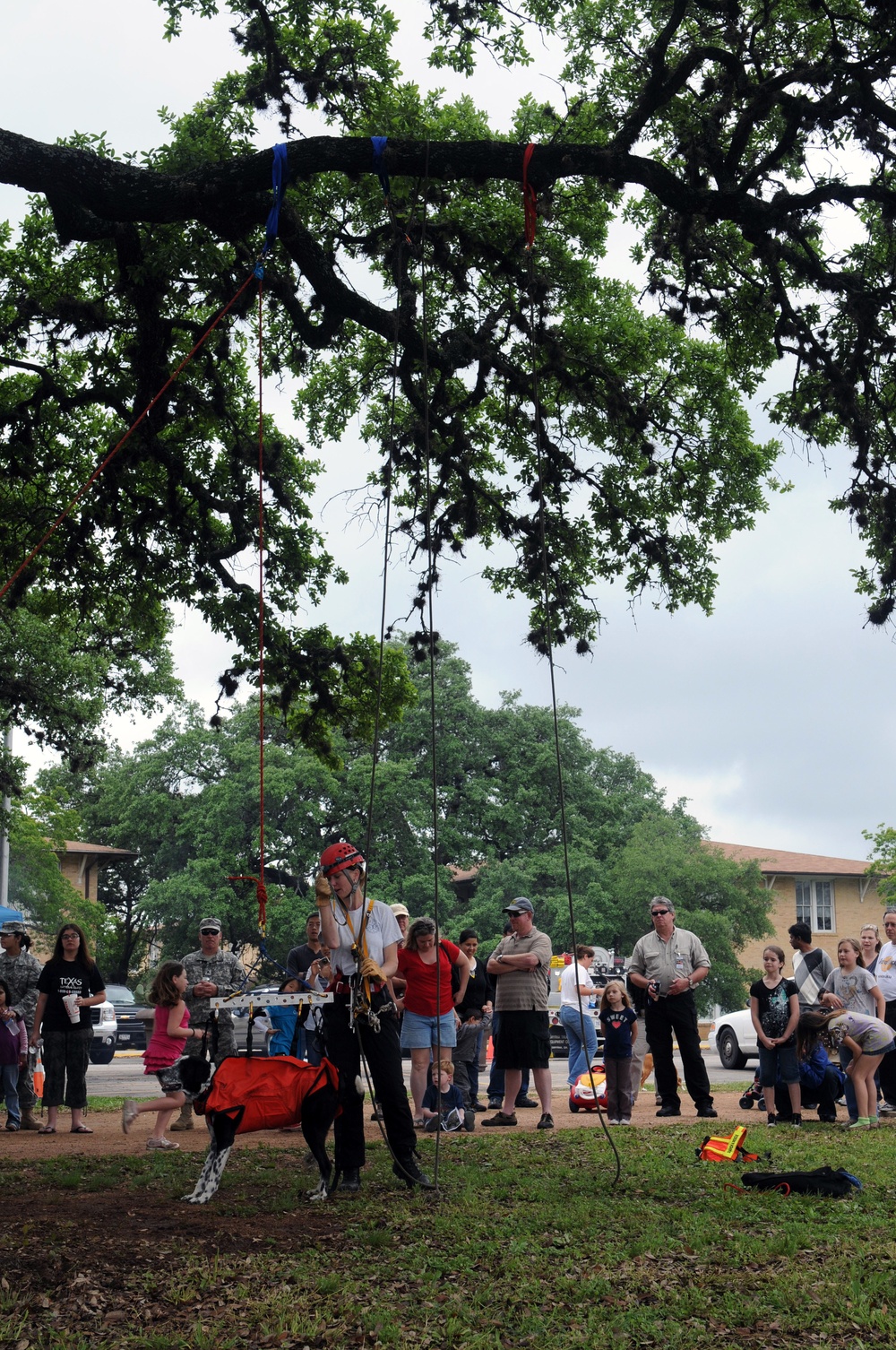 Search and Rescue Dogs Entertain, Educate at American Heroes Celebration