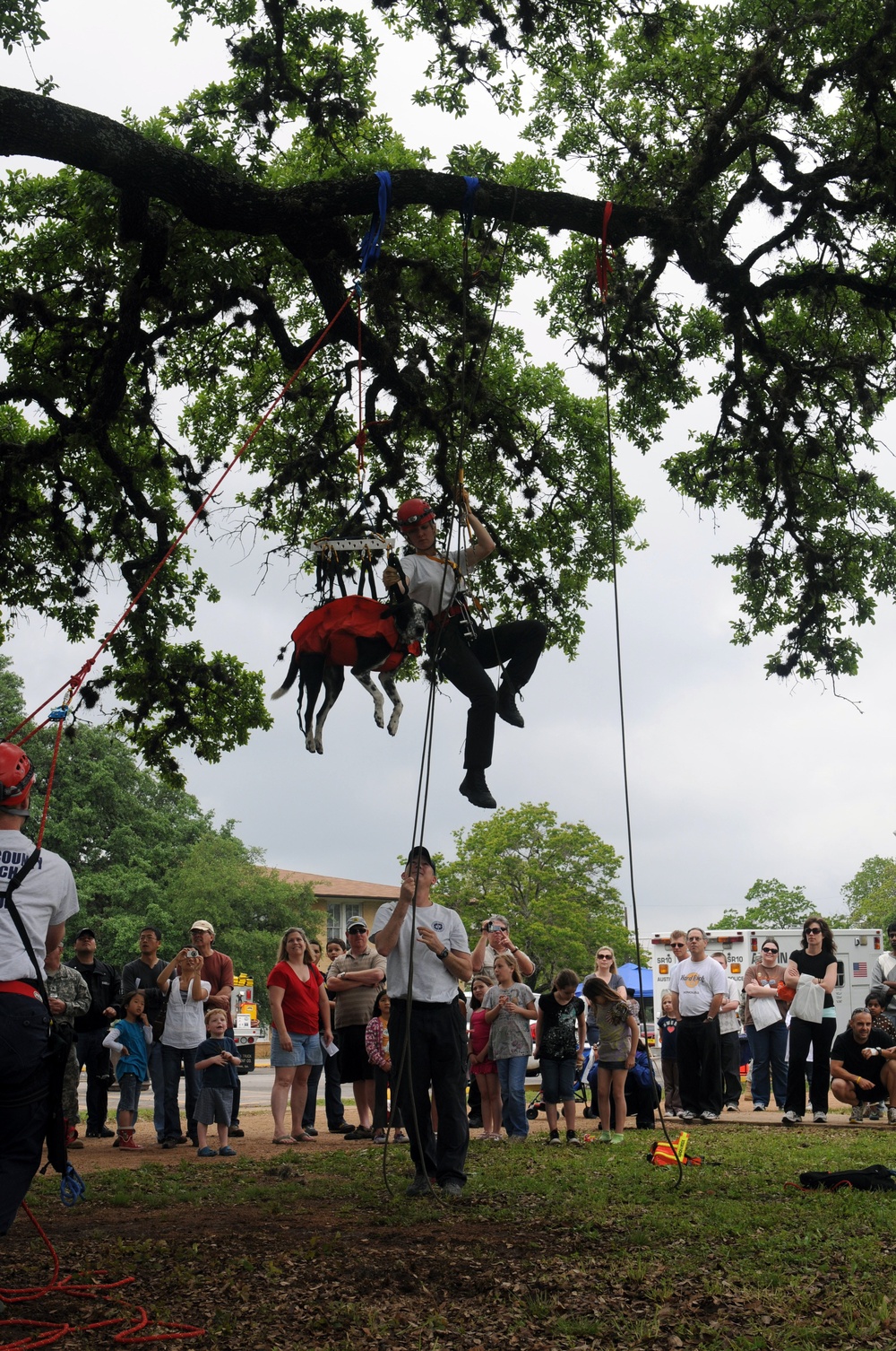 Search and Rescue Dogs Entertain, Educate at American Heroes Celebration