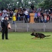 Search and Rescue Dogs Entertain, Educate at American Heroes Celebration