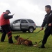 Search and Rescue Dogs Entertain, Educate at American Heroes Celebration