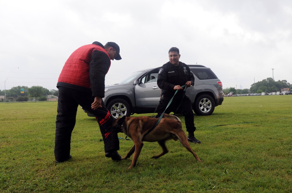 Search and Rescue Dogs Entertain, Educate at American Heroes Celebration