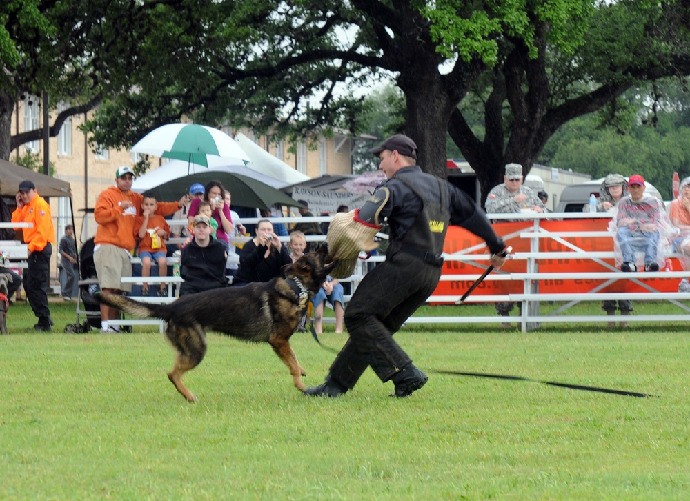 Search and Rescue Dogs Entertain, Educate at American Heroes Celebration