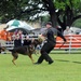 Search and Rescue Dogs Entertain, Educate at American Heroes Celebration