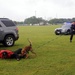 Search and Rescue Dogs Entertain, Educate at American Heroes Celebration