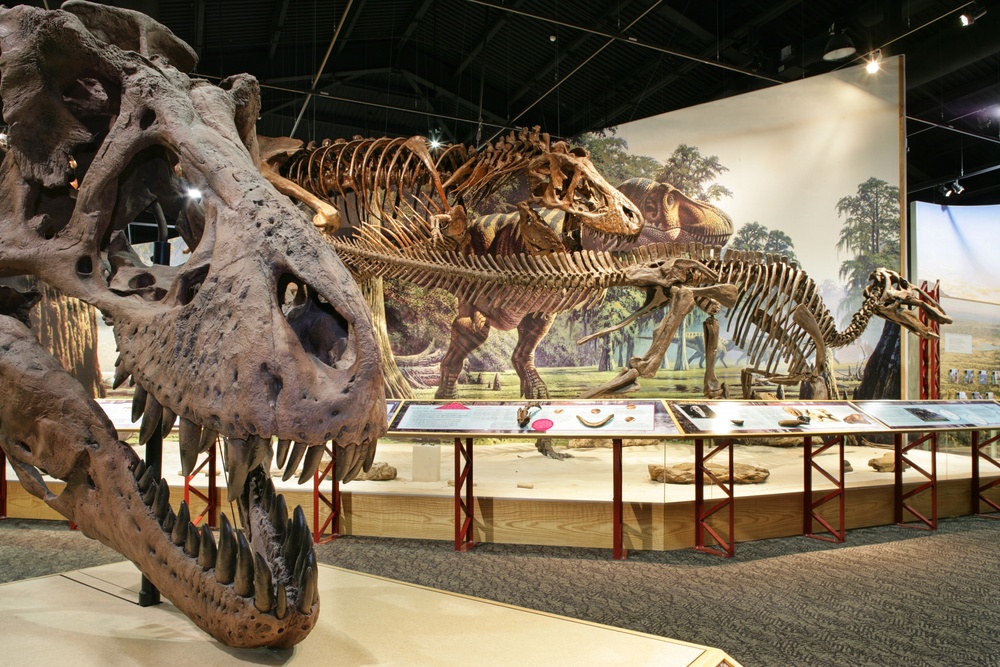 Fort Peck Interpretive Center and Museum Ready for 2010 Season