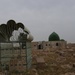 Turkmen Shi'a Visit Sultan Saqi Shrine
