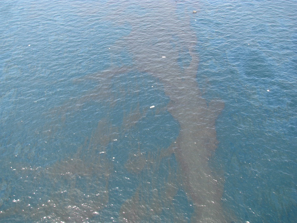 Debris and Oil From the Deepwater Horizon Drilling Platform