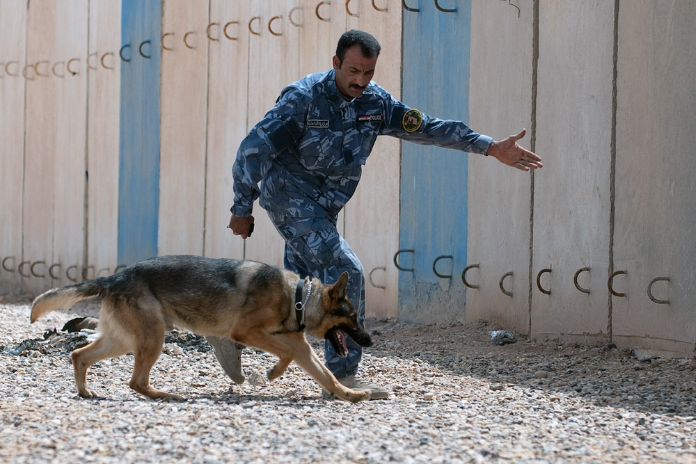 Anbar Police stand up K-9 unit