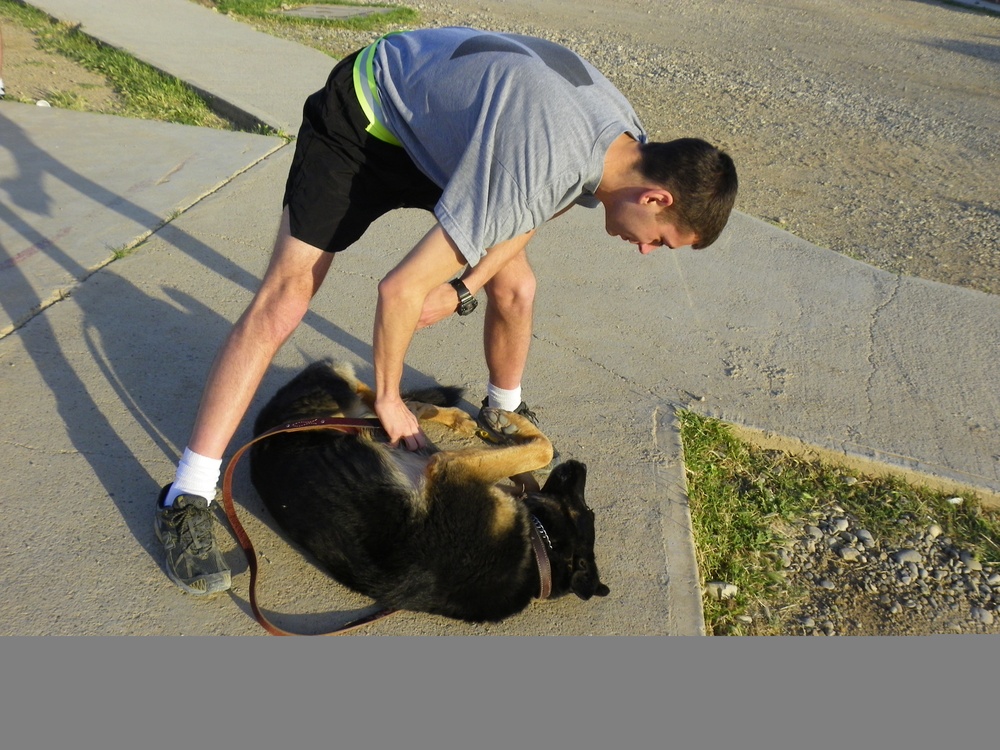 Team Bliss Runner Wins MWD Fun Run