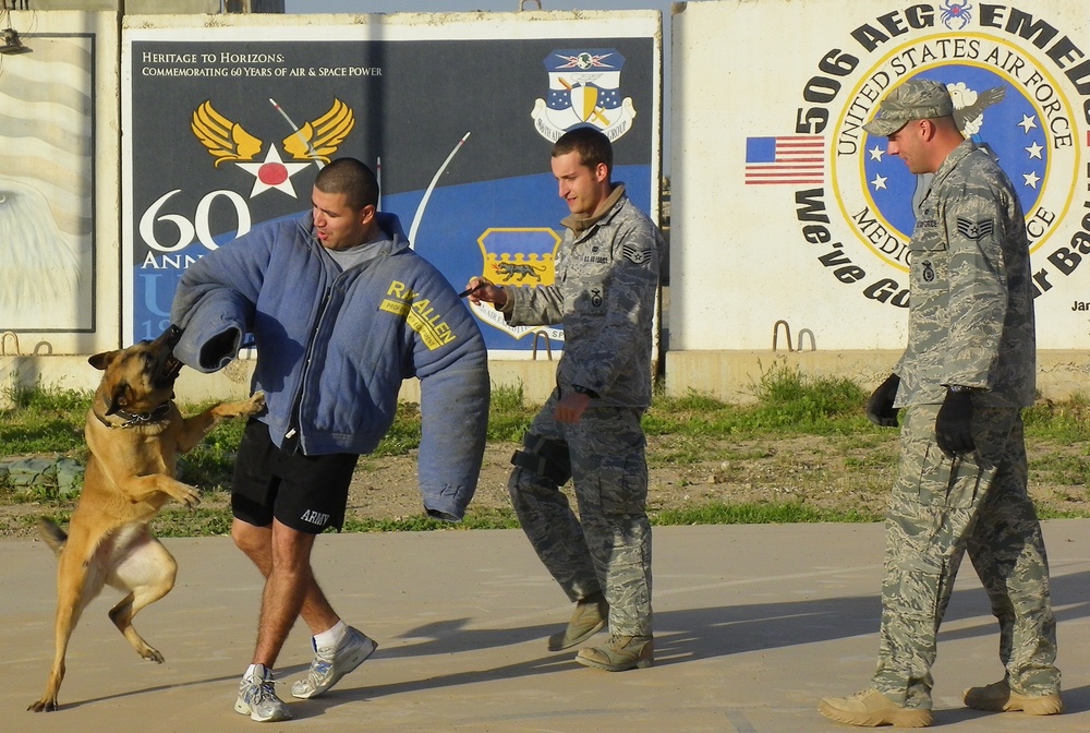 Team Bliss Runner Wins MWD Fun Run