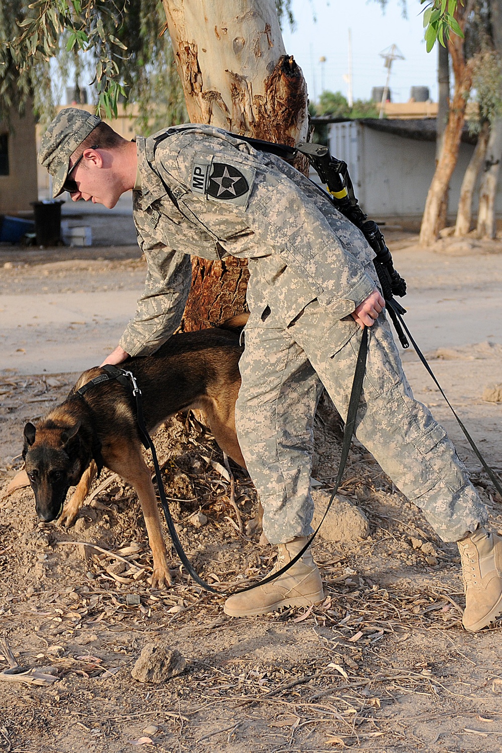 A partnership with 'man's best friend'