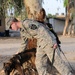A partnership with 'man's best friend'