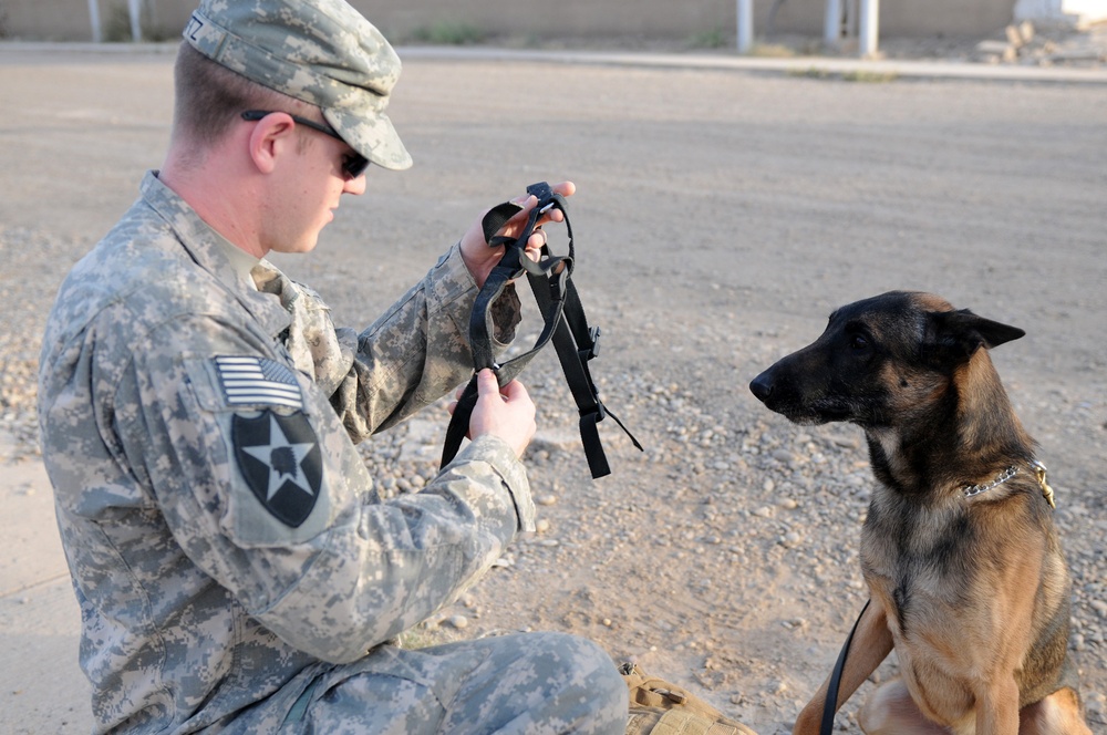 A partnership with 'man's best friend'