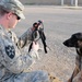 A partnership with 'man's best friend'