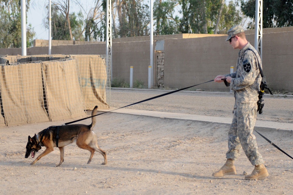 A partnership with 'man's best friend'
