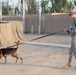 A partnership with 'man's best friend'