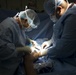 U.S. Medical Team and Iraqi Surgeon Perform Joint Procedures