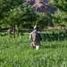 U.S. Special Forces on Patrol
