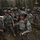 Vigilant Guard