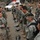 Vigilant Guard