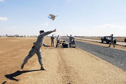 It's a bird ... it's a plane ... no, it's the Wasp III