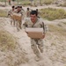6-1 CAV Facilitates IA Best Squad Competition