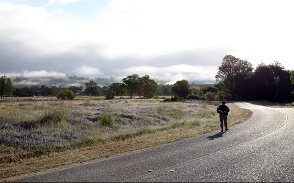 A lone figure in dark military-style gear with high-visibility yellow markings walks or runs along a two-lane paved road curving into the distance. The surrounding landscape features open fields with low purple/blue wildflowers, scattered trees, and low-lying morning fog or mist rolling over distant hills. The backlighting from a bright overcast sky creates a silhouette effect on the figure.