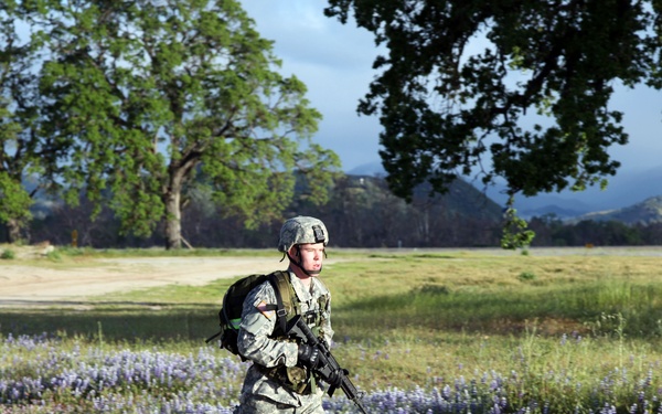 A U.S. Army soldier in full combat gear is walking briskly along a gravel road in what appears to be a training environment. The soldier is equipped with ACU (Army Combat Uniform) camouflage, a combat helmet, body armor, a backpack, and carries an M4-style carbine rifle. The surrounding landscape features blooming purple wildflowers, large oak trees, open grassland, and rolling hills in the background.